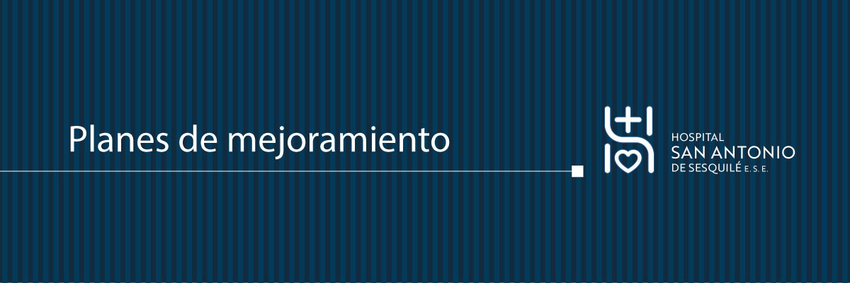 Plan anual operativo 2026